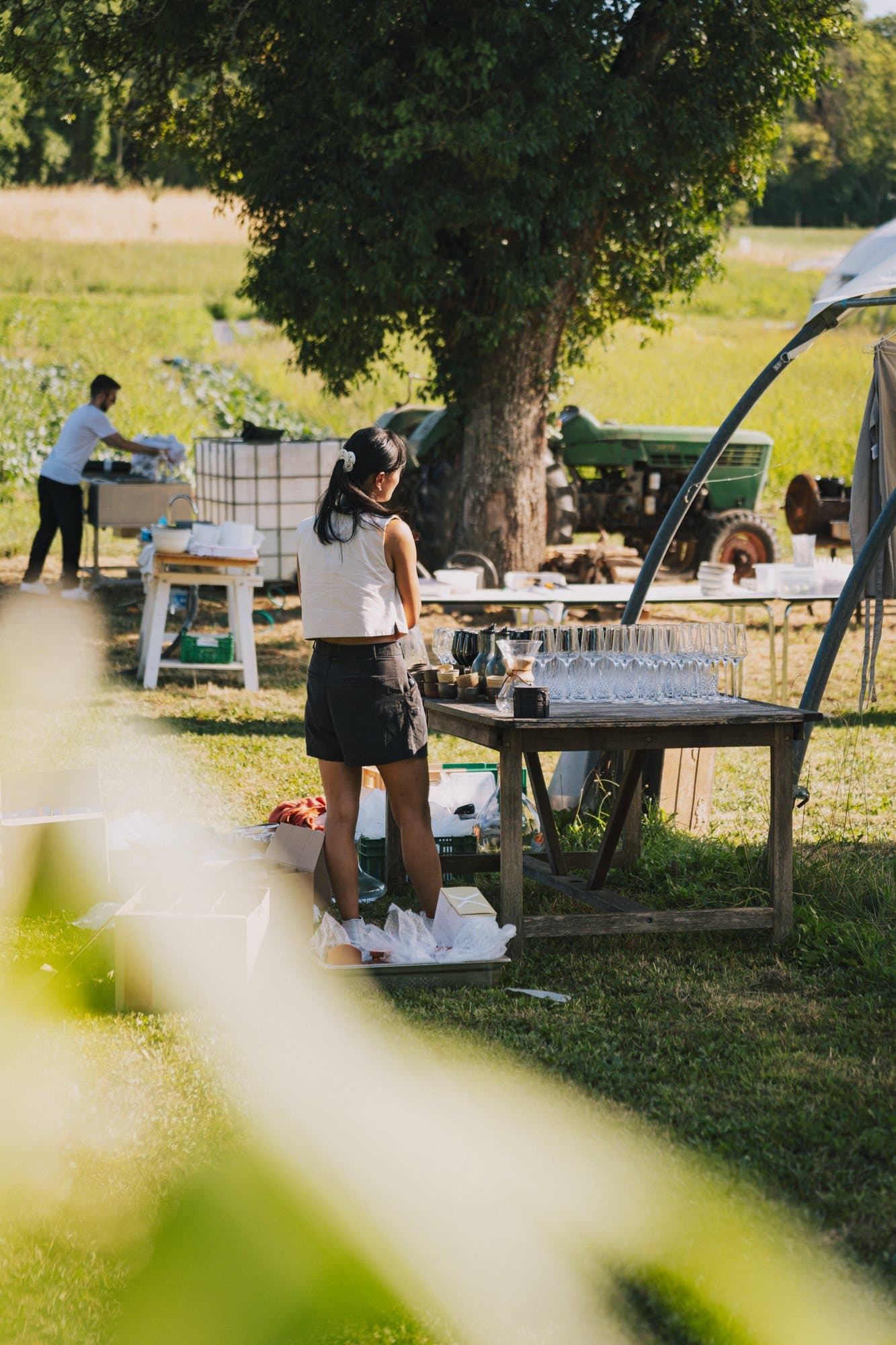 La mise en place, sous le grand arbre