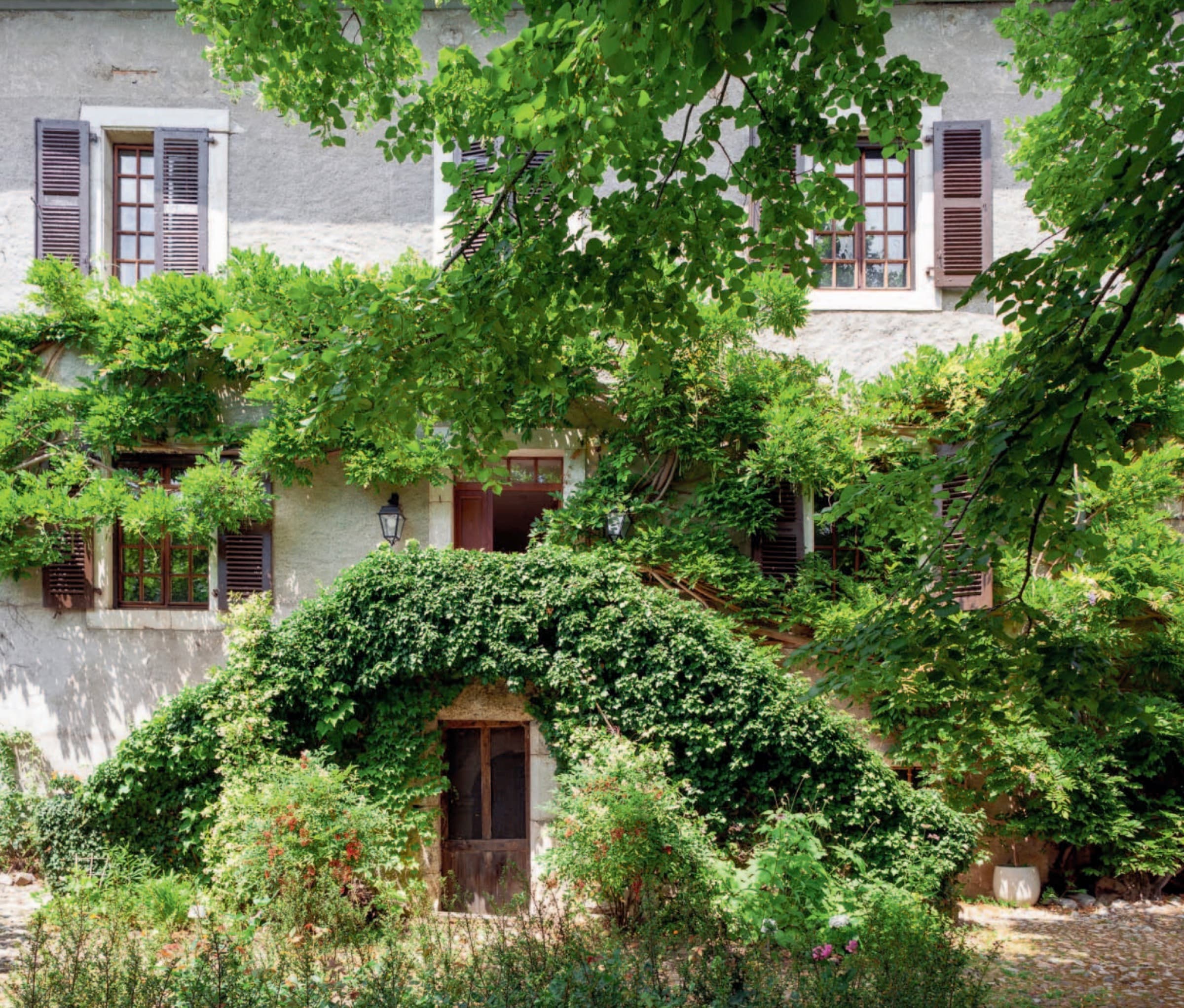 La façade sous la glycine